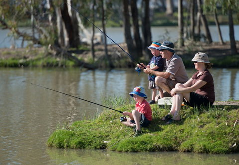 Berri Riverside Caravan Park - Accommodation Guide 3