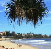 Mariners Caloundra - Accommodation China