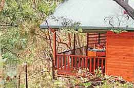 Tolga QLD Accommodation Guide