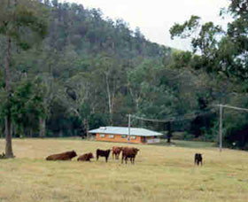 Shute Hill Country Retreat - Accommodation China 0