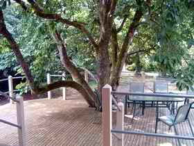 Magnolia House Marysville - Accommodation Asia 0