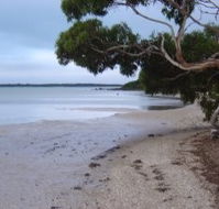 Stanley Lakeside Spa Cabins