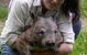 Fauna Australia Wildlife Retreat - thumb 0