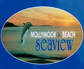 A Mollymook Beach Seaview - Accommodation China 0