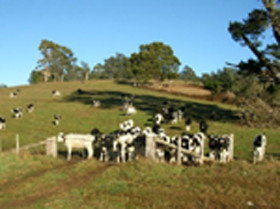 St Columba Cottage - Accommodation Asia 0