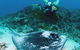 Heron Island Resort - thumb 0