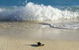 Heron Island Resort - thumb 4