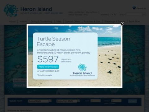 Heron Island Resort - Accommodation China 5