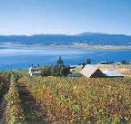 Marions Vineyard  - Accommodation Guide