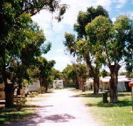 Bathers Paradise Caravan Park - Accommodation Asia