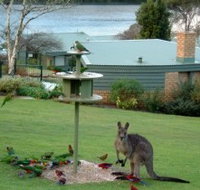 Gipsy Point Lakeside - Accommodation Guide