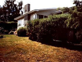 Arundel Cottage - Accommodation Asia 0