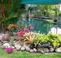 Daintree Wild Bed And Breakfast - Accommodation Asia