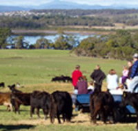 Bonny Brae - Accommodation Guide