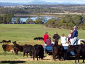 Bonny Brae - Accommodation Guide 0