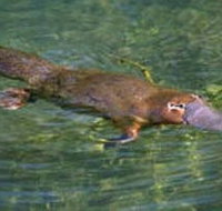 Eilean Donan Gardens - Accommodation Guide