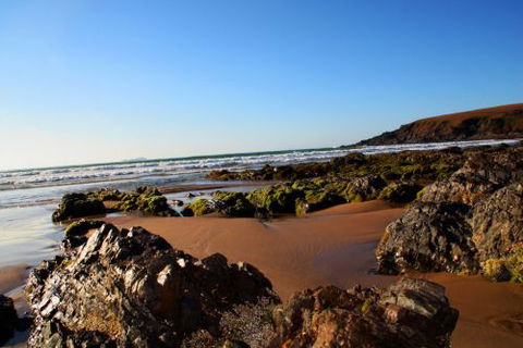 ArtHOUSE Beachfront Accommodation - Accommodation Guide 8