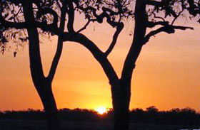 Coodardie Station Stay - Accommodation Guide 0