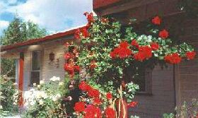 Epping Forest TAS Accommodation Guide