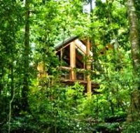 Fur'N'Feathers Rainforest Tree Houses - Accommodation Guide