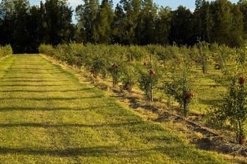 Talga Estate - Accommodation Guide 45