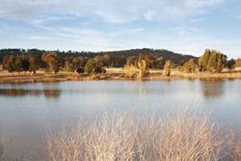 Talga Estate - Accommodation Guide 3