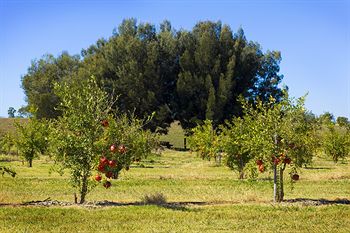 Talga Estate - Accommodation Guide 11