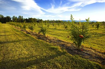 Talga Estate - Accommodation Guide 12