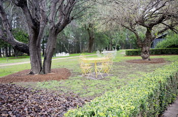 Casuarina Estate - Accommodation China 48