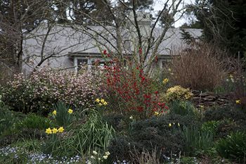 Parklands Country Gardens And Lodges - Accommodation China 12