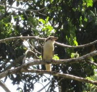 Sunshine Valley Cottages