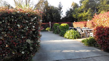 Branxton House Motel, Hunter Valley - Accommodation China 13