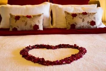 Montville Misty View Cottages - Accommodation Asia 10