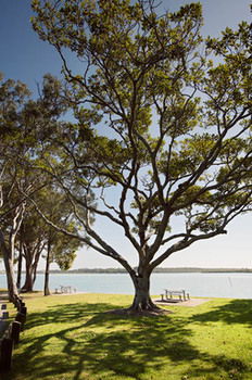 Langley Park Apartments - Accommodation China 5
