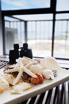 Langley Park Apartments - Accommodation China 19