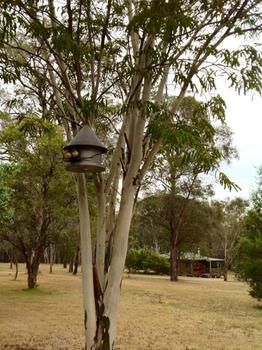 Buffs At Pokolbin - Accommodation Asia 2