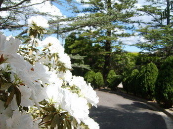 Tantarra Bed And Breakfast - Accommodation China 15