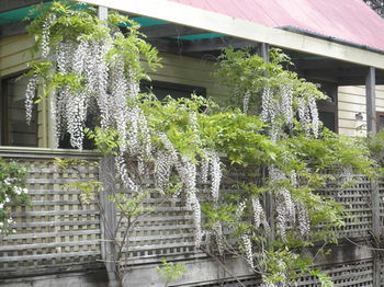 Woollamia Village Retreat - Accommodation China 37