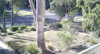 Eltham Retreat - Accommodation China 4