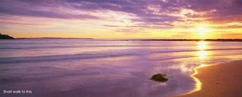 Kims Beachside Lodges - Accommodation Asia 22