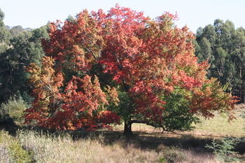 The Barn At Charlottes Hill - Accommodation China 7
