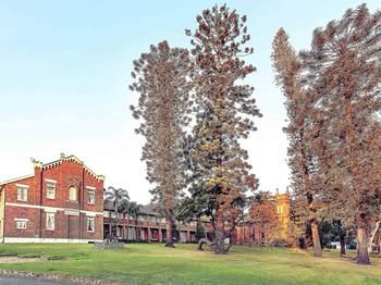 Mercure Maitland Monte Pio - Accommodation Guide 52