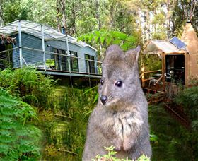Huon Bush Retreats - Accommodation Asia 0
