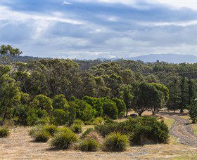 Catherine Lodge Farm Gate Cottages - Accommodation Guide 1