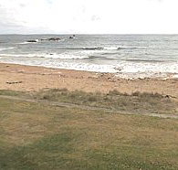 Penguin Caravan Park - Accommodation Guide