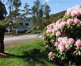 Zeehan Bush Camp  And Caravan Park - Accommodation Asia 0