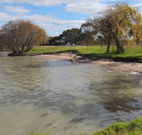 Kangaroo Lake Caravan Park - Accommodation Guide