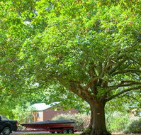 Lakes and Craters Holiday Park - Accommodation Asia