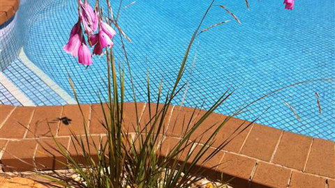 The Murray View Motel - Accommodation China 6