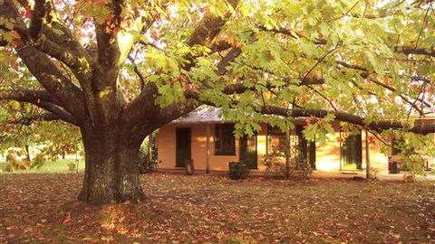 Delatite Station - Accommodation China 3